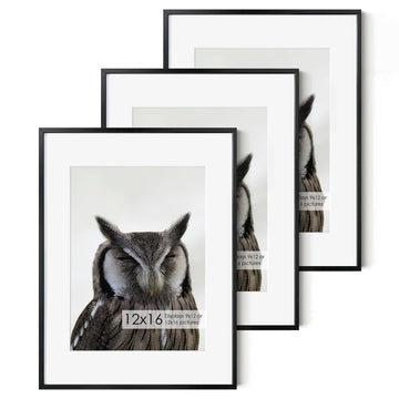 12x16 Metal Picture Frame - Aluminum Picture Frame with Shatter-Resistant Glass - Displays 9x12 Photos with Mat or 12x16 Images without Mat - Ideal for Home or Office Decor(Black, Pack of 3)