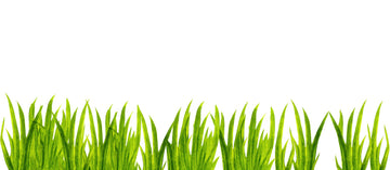 Murwall Kids Wall Decal Watercolor Grass Wall Sticker Nursery Wall Sticker