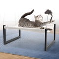 Elevated Cat Bed with 360° View - Rust-Proof Metal Frame, Removable Machine Washable Mattress (Thin), Includes Cat Toy - Easy Assembly