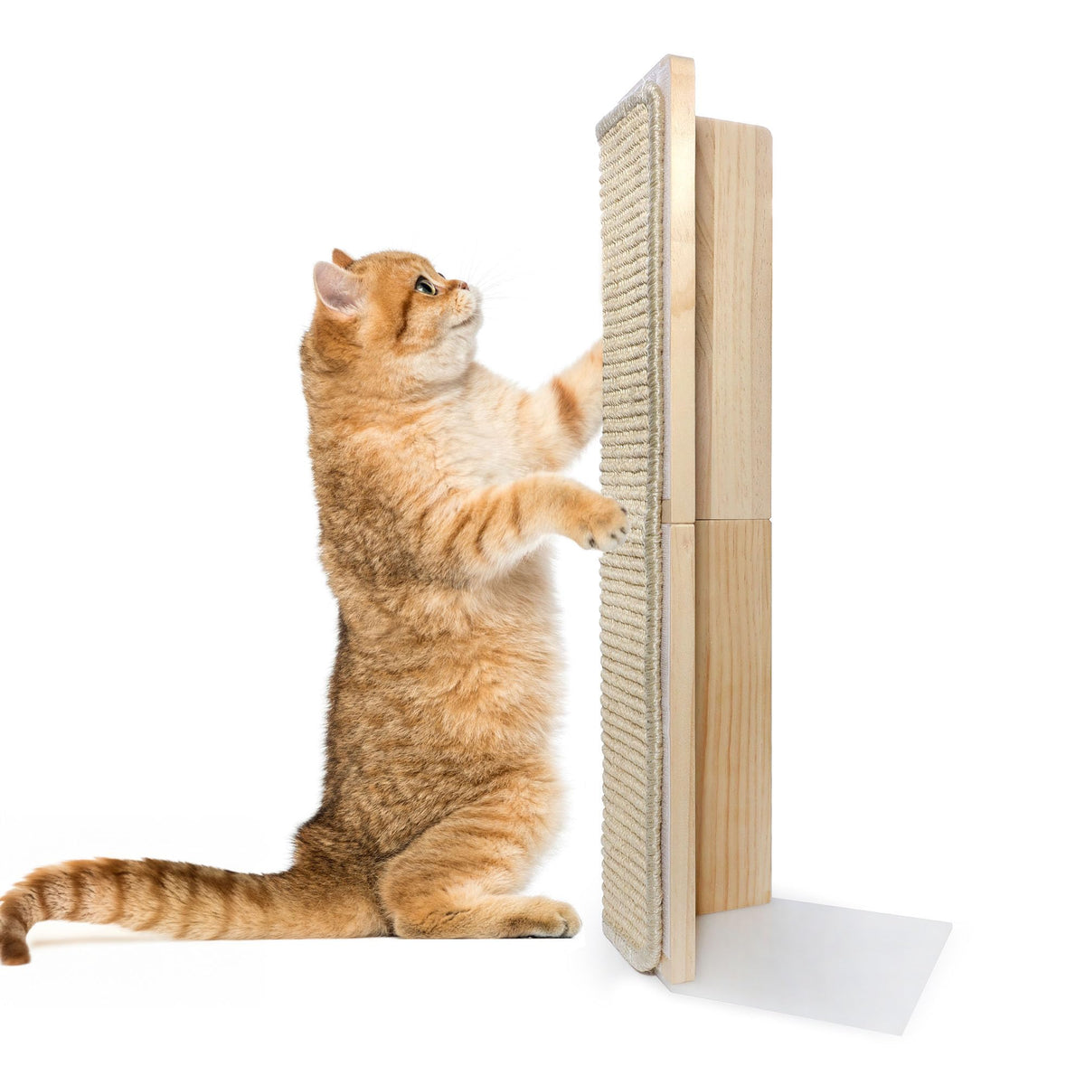Couch Corner Scratching Post w/Replaceable Scratch Pad - Stylish Indoor Cat Scratcher - Cat Scratching Board Furniture Protector- Scratch Post for Feline Fun & Satisfaction