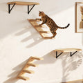 Cat Wall Shelves Stairs Cat Wall Furniture Mounted, 2PCS Shelves & 2PCS 4 Steps Climbing Shelf Scratching Perches for Sleeping, Playing, Climbing