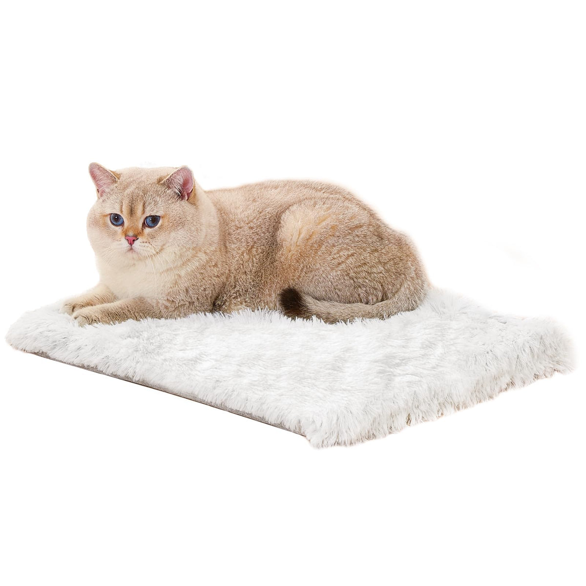 SETVSON Cat Bed Pad for Indoor Cats, 19.3*17.7*1.57 inch Soft Small Pet Bed, Double Sided Washable Cat Bed Dog Bed, Self Heating Pet Pad, Indoor Breathable Pet Mat for Small, Medium, Large Cats Puppy