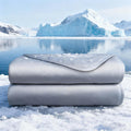 Bedding Comforters