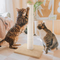 Necoichi 23.6” Tall Cat Scratching Post Kitten Scratcher Paper Rope Scratch Posts Trees with Hanging for Indoor Cats (23.6 inches for Kitty, Regular, Oak)