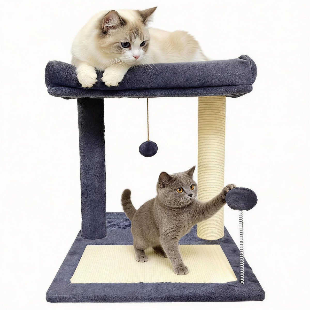 Cat Scratching Post, 19.69" H(50cm) Cat Tree with Cat Bed, Scratching Posts for Indoor Cats with Two Plush Balls Toy, Small Cat Tree for Kittens/Cats Playing and Relaxing (20 in Grey Cat Tree)