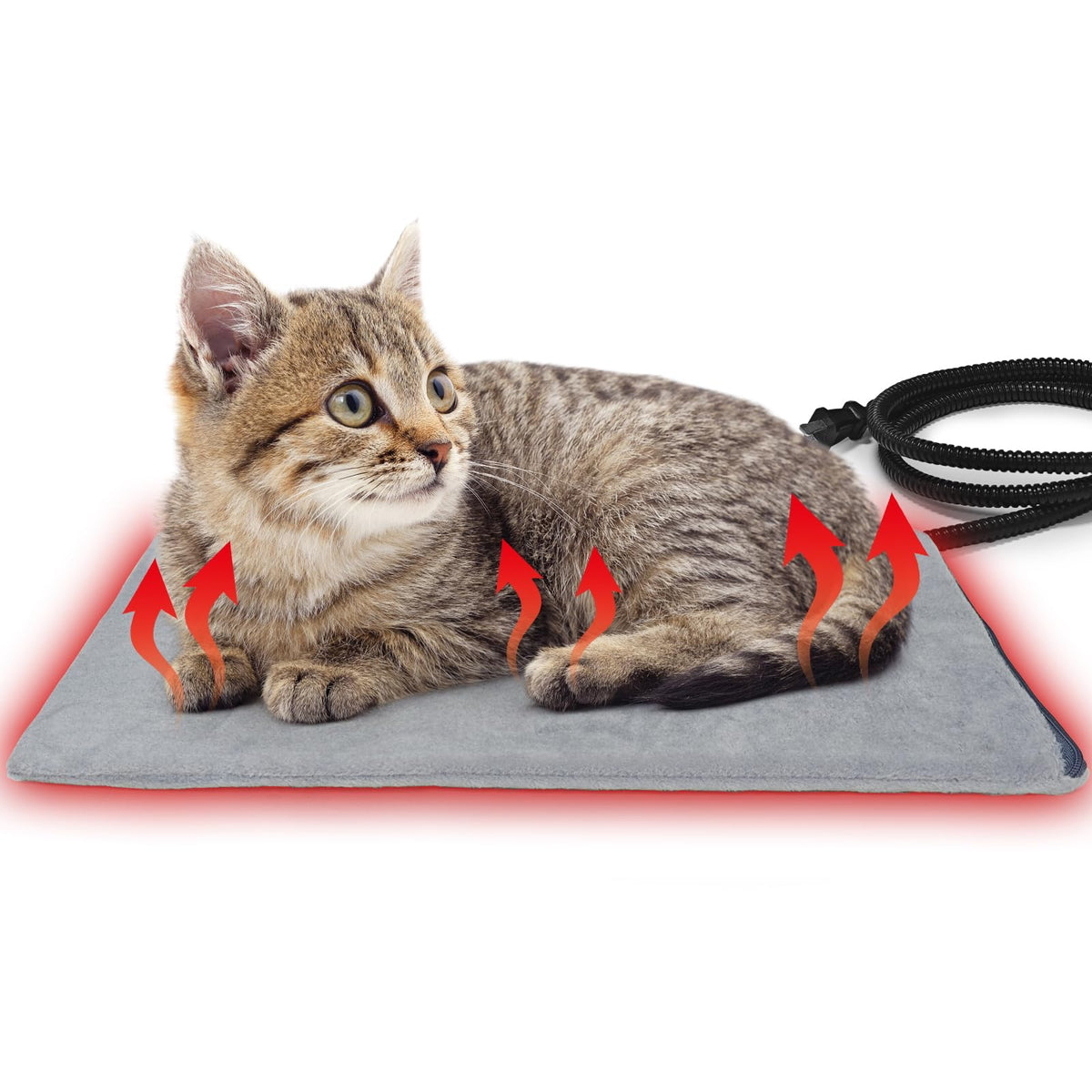 Pet Heating Pad for Cats and Small Dogs,Heated Cat Bed,Auto Temperature Control Waterproof Indoor Electric Pet Heating Pads for Cats with Chew Resistant Cord,16 * 12inch