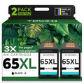TESEN 65XL Black Ink Cartridge High-Yield Replacement for HP Ink 65 XL HP65 HP 65 use with HP Envy 5055 5000 5052 5070 Deskjet 3755 3700 3752 3772 2600 2622 2652 2655 2680 2640 Printers (2-Pack)