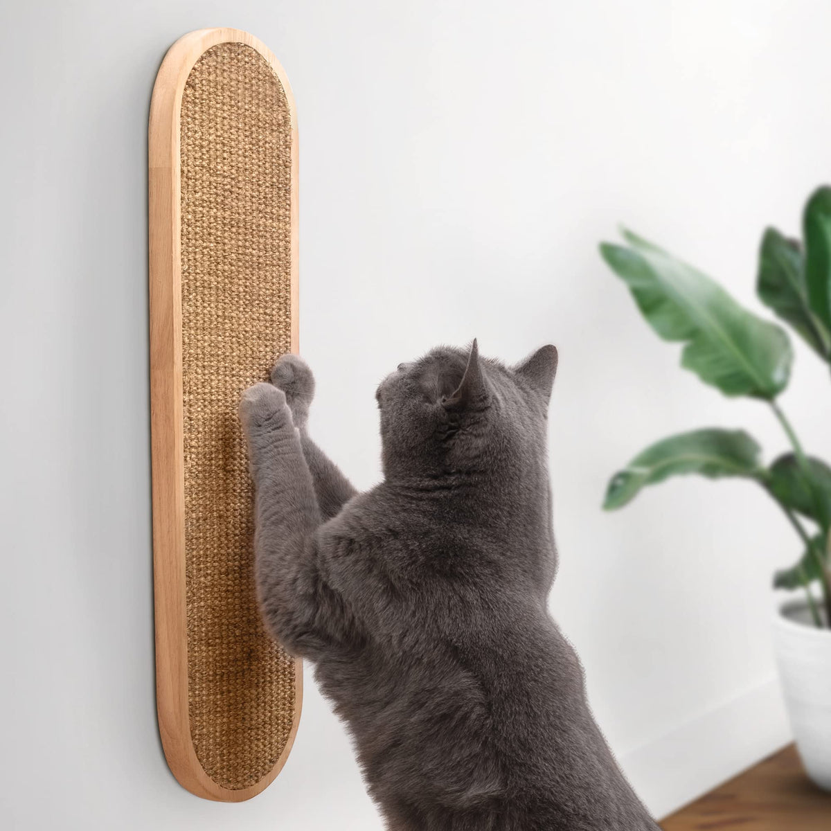 7 Ruby Road Indoor Cat Wall Scratcher — Multidirectional Sisal Scratch Pad & Board for Furniture Protection, Space-Saving Wall or Floor Use, Solid Rubberwood, All Breeds (Natural)