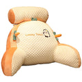 Bed Pillows & Positioners