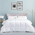 Bedding Comforters