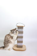 Cat Scratching Post for Indoor Cats, 23.6 Inch Tall Cardboard Cat Scratcher Pad for Kittens & Cats, Multi Surface Scratching Board, Easy Assembly, Protects Furniture