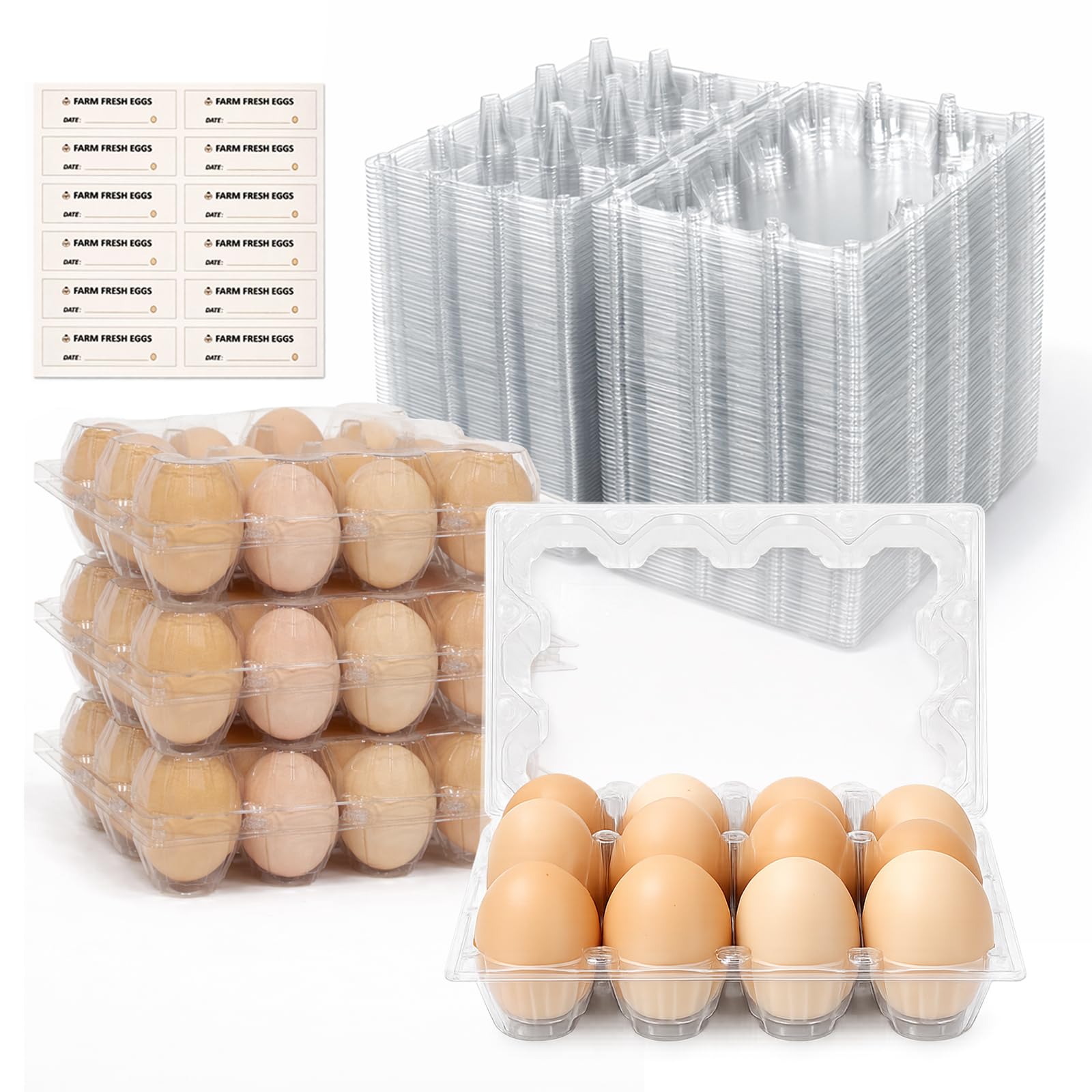 Kitchen Organization