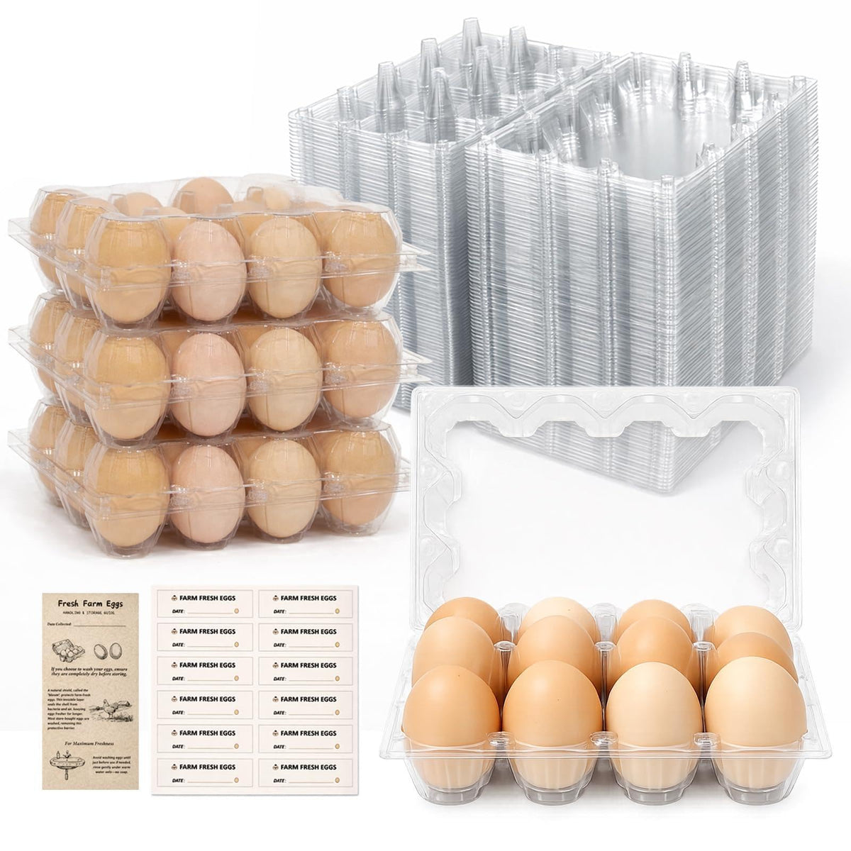 Kitchen Organization