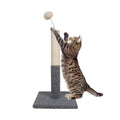 Cat Scratching Post with Carpet Botton Base and Spring Teasing Toy Ball for Indoor Cats and Kittens Grey