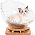 Bowl Shaped Cats Bed, for Indoor Cats and Kittens Sleeping, Anti-Scratch Pet Bed with a Built-in Cat Ball Track, Acrylic & Wood,Large 16.5in/ 42cm