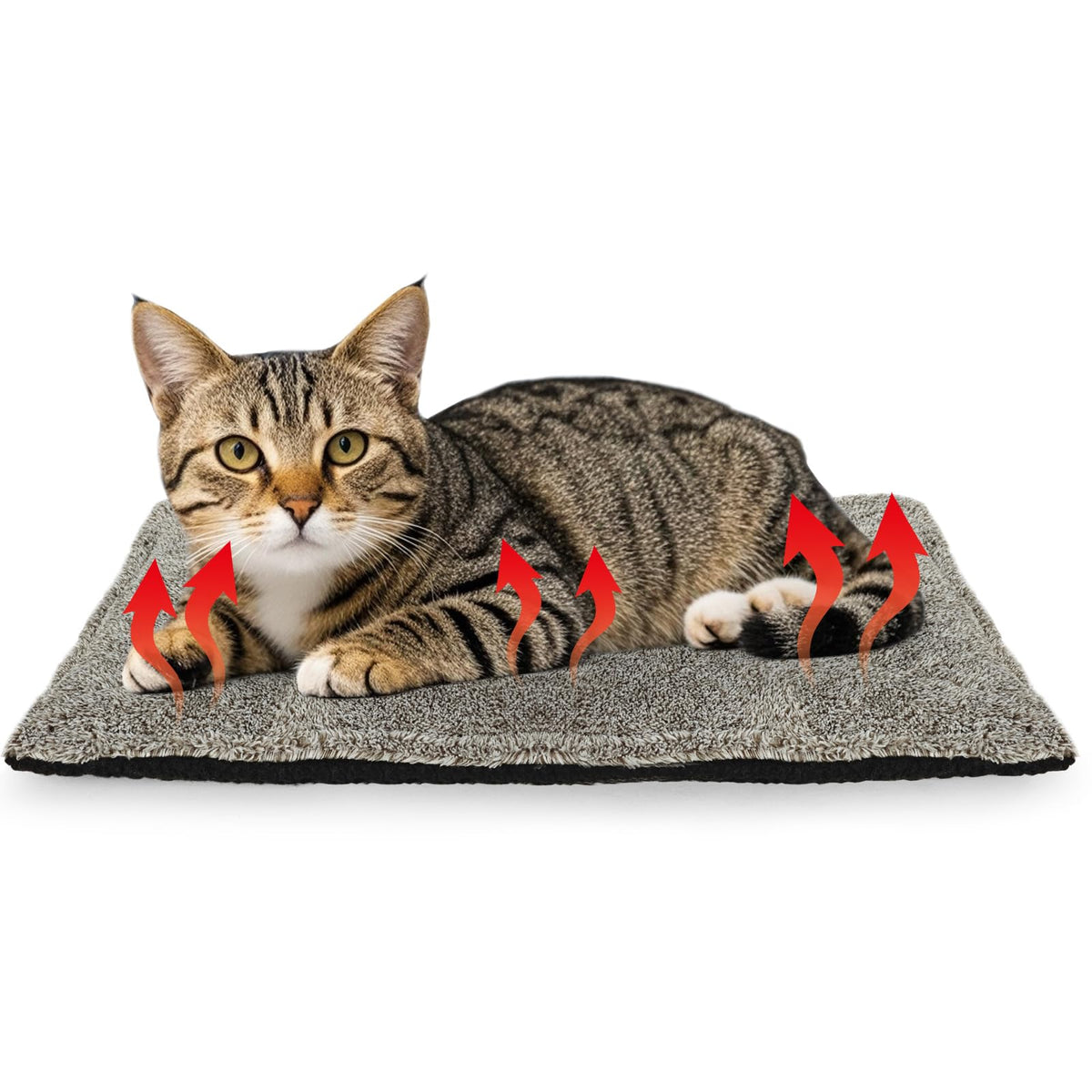 Self-Warming Cat Bed Pad, Self-Heating Cat Bed Mat Thermal Blanket for Indoor Cats & Small Dogs,22 * 16 inch