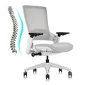Clatina Office Chair Swivel Executive Chair, Adjustable Ergonomic Computer Chair with 3d Armrest and Lumbar Support, Mesh Backrest Task Chair