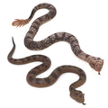 2Pcs Rubber Snakes Fake Snake Lifelike Rubbe Snake - Keep Birds Away for Garden Scare Birds Prank April Fools' Day or Halloween Decoration Props ? (Style 1)