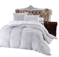 Bedding Comforters
