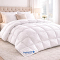 Bedding Comforters