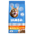 IAMS Healthy Enjoyment Dry Cat Food Chicken & Salmon Recipe, Cat Food Dry Recipe, 3 lb. Bag