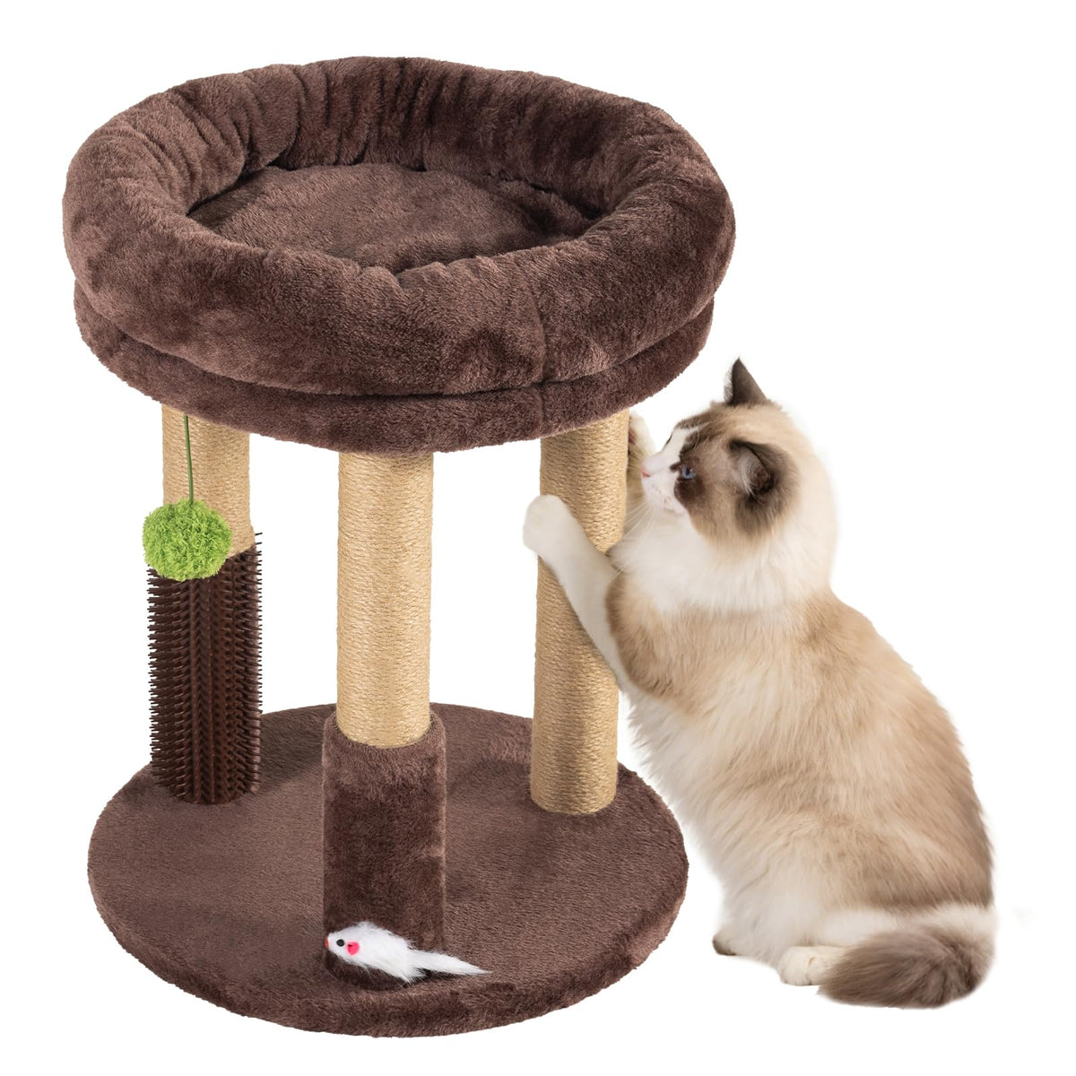21” Tall Cat Scratching Post with Plush Cat Bed | Stable Cat Tree for Indoor Cats, Interactive Toy & Grooming Brush Included