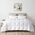 Bedding Comforters