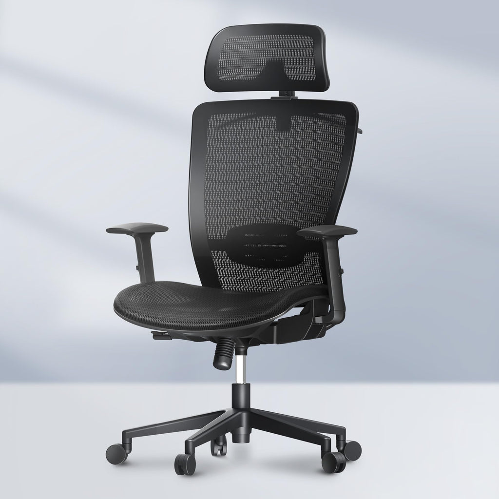 Flexispot Ergonomic Office Chair High Back Mesh Swivel Computer Chair Home Office Desk Chairs with Wheels Adjustable Lumbar Support/2d