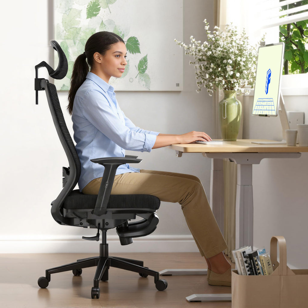 Flexispot Ergonomic Office Chair with Footrest, Mesh High Back Computer Chair, Home Office Desk Chairs, with Adjustable Lumbar Support/2d