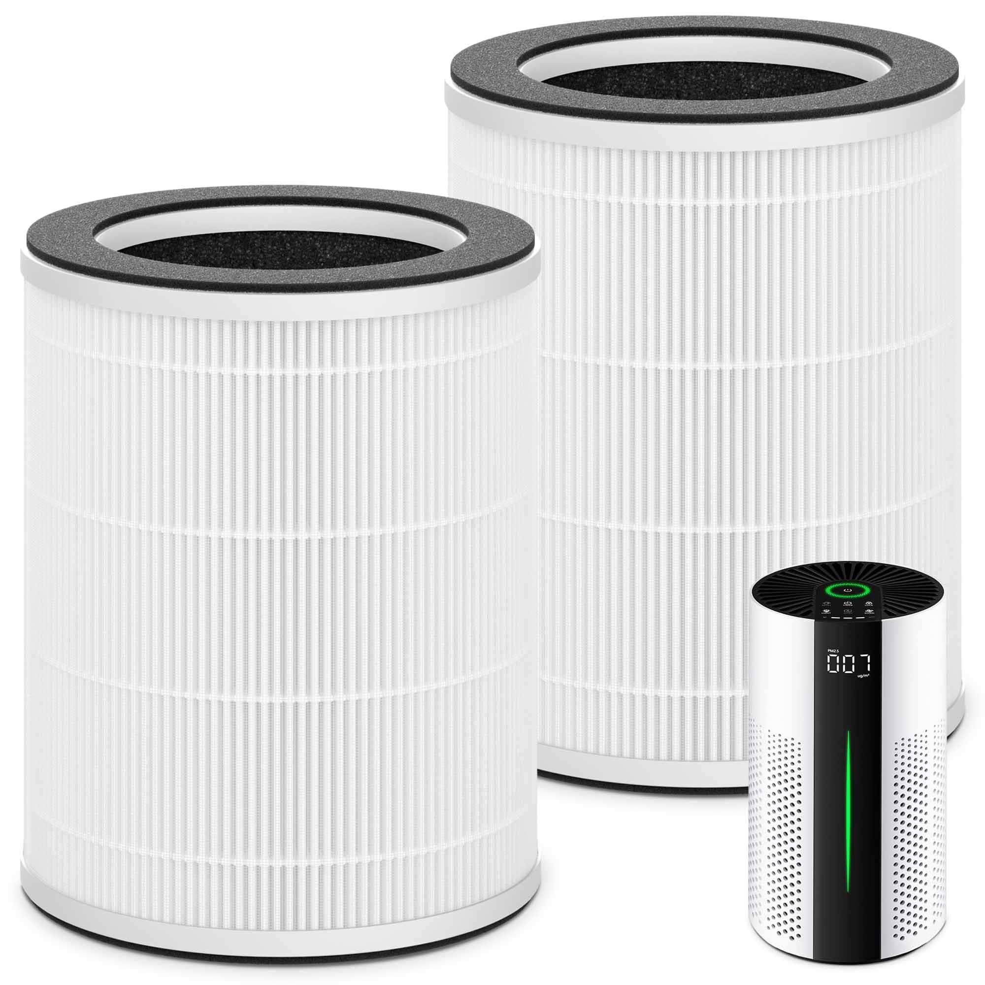 2 Packs HAP609 Replacement Filter Compatible with ECOSELF HAP609 Air Purifi-er for Home Large Room up to 1800 Ft², Main Filter
