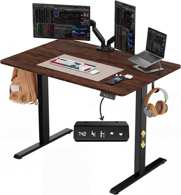 NEXT BEAUTY Electric Standing Desk 48" x 24", Height Adjustable 28"-46", Sit Stand Desk with Memory Presets, Smooth & Quiet Motor, Reinforced Frame, Easy Assembly, Ergonomic Home Office Desk