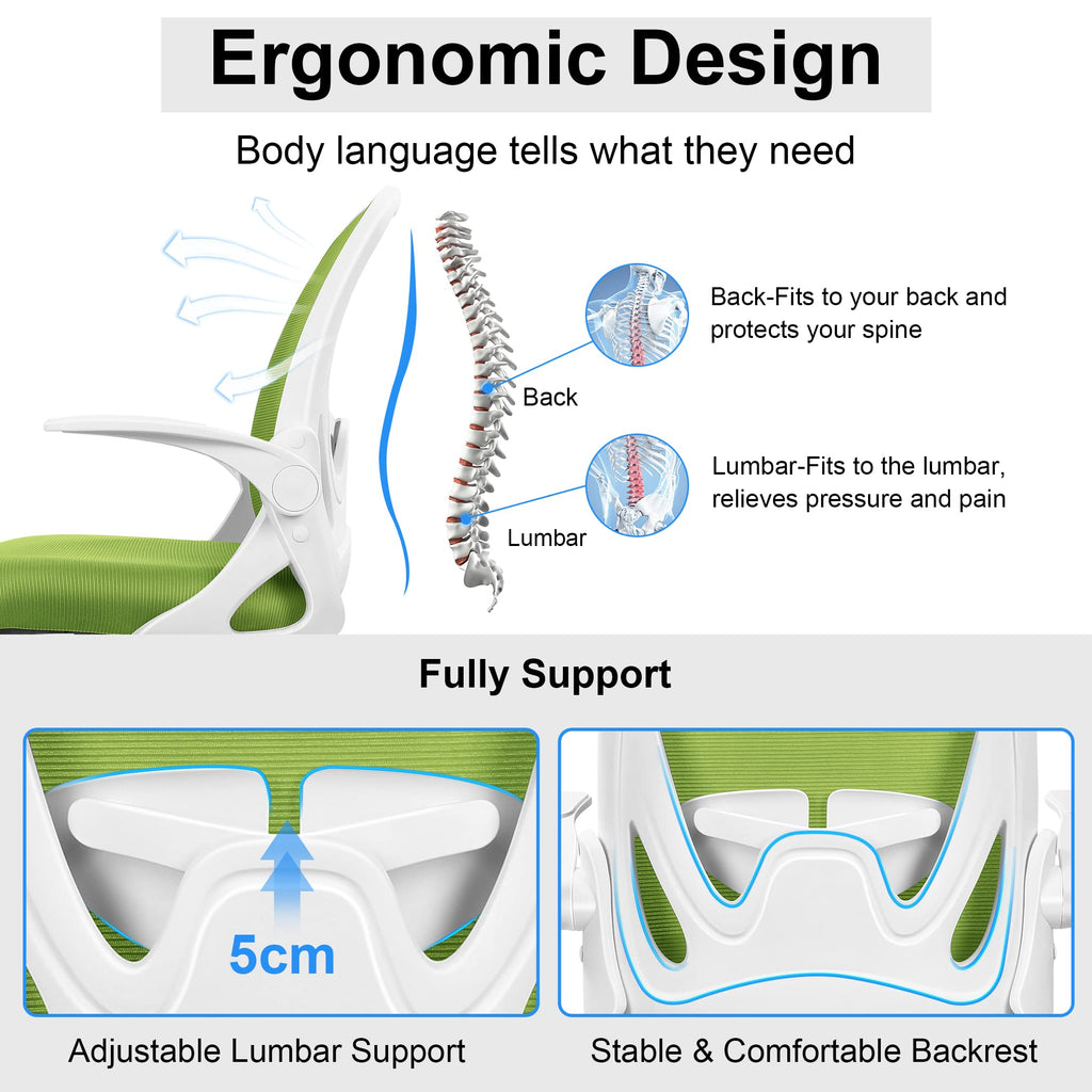 Primy Office Chair Ergonomic Desk Chair with Adjustable Lumbar Support and Height, Swivel Breathable Desk Mesh Computer Chair with Flip Up