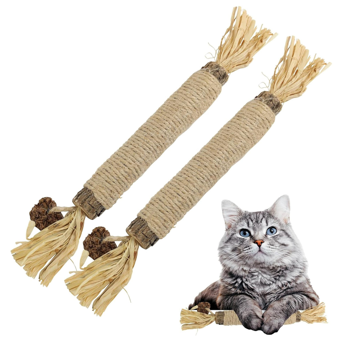 HUPA Catnip Silvervine Sticks | Anxiety Relief & Kitten Teeth Cleaning, Natural Silvervine with Raffia Grass for Healthy Teeth & Digestion | for Indoor Cats, All Ages & Breeds | 2 Sticks