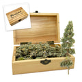 Meowijuana | Cigar Box | Grand Daddy Purr Catnip Buds | Premium Organic Catnip | Grown in North America | Perfect for Cat Toys