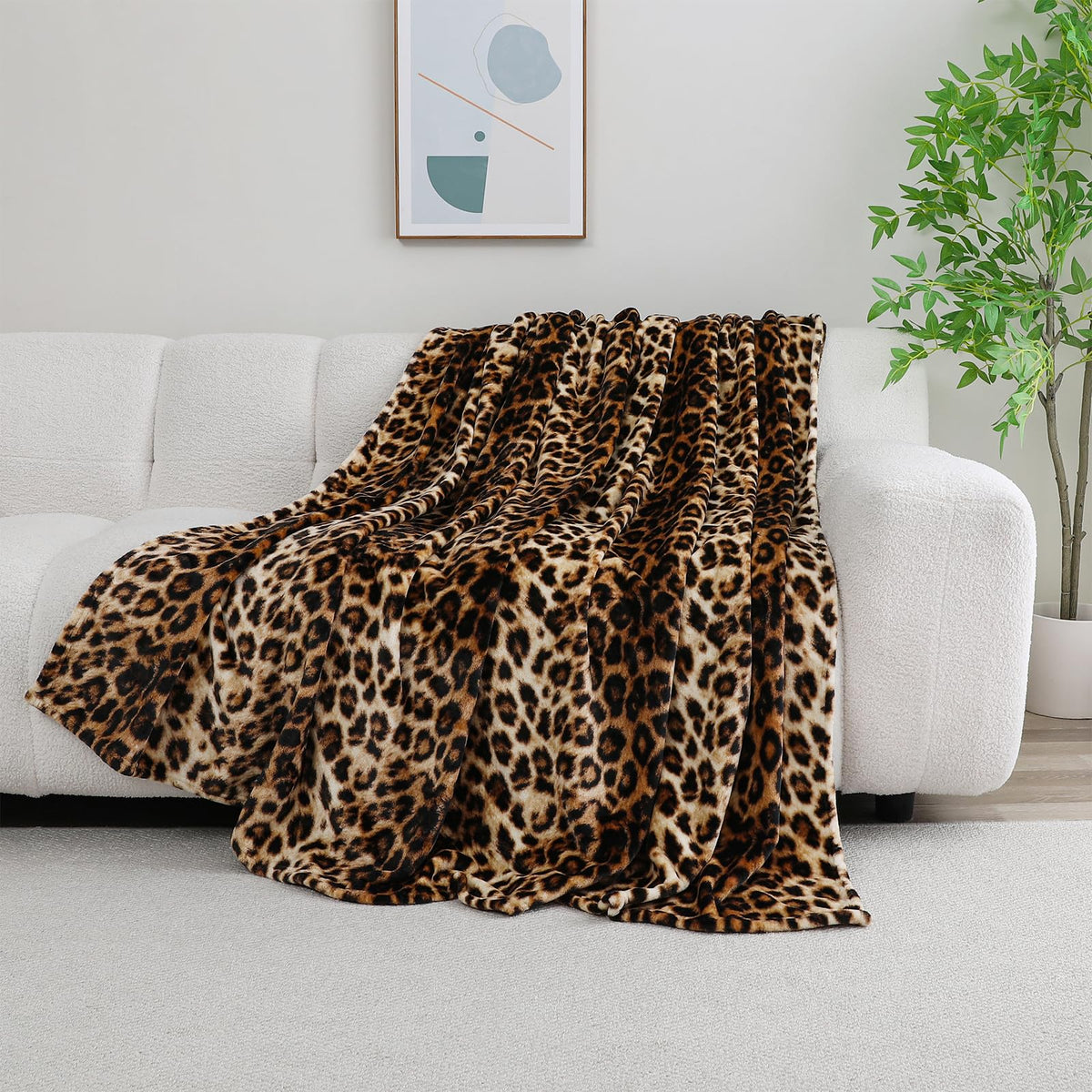 Blankets and Throw