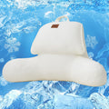 Bed Pillows & Positioners