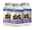 cat Food Immune System - Immune Support for Cats - Healthy Immune Response - Vet Recommended - pet Wellbeing Milk Thistle for Cats - 3 Bottles (180 Chewable Tablets)
