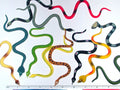Rhode Island Novelty 6 Inch Rain Forest Rubber Snakes Set of 12