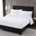 Bedding Comforters