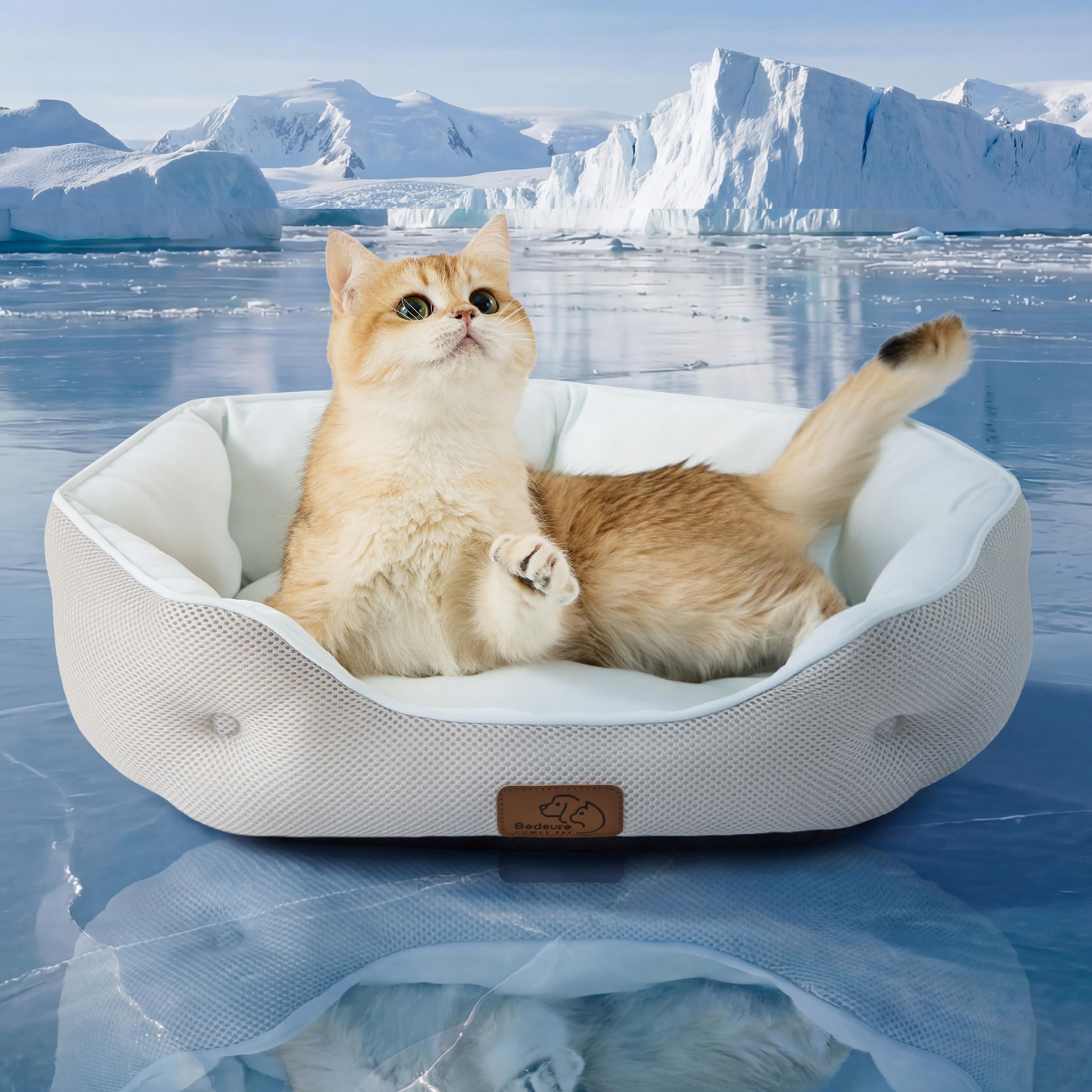 Bedsure Cooling Dog Beds for Small Dogs - Round Cat Beds for Indoor Cats, Washable Pet Bed for Puppy and Kitten with Slip-Resistant Bottom, 20 Inches, Arctic Cooling Blue