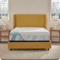 Mattress Toppers