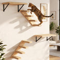 Cat Wall Furniture Set, 2PCS Cat Shelves & 2PCS 4 Steps Wall Shelves Stairs Tower Climbing Scratching Perches for Climbing Sleeping, Playing