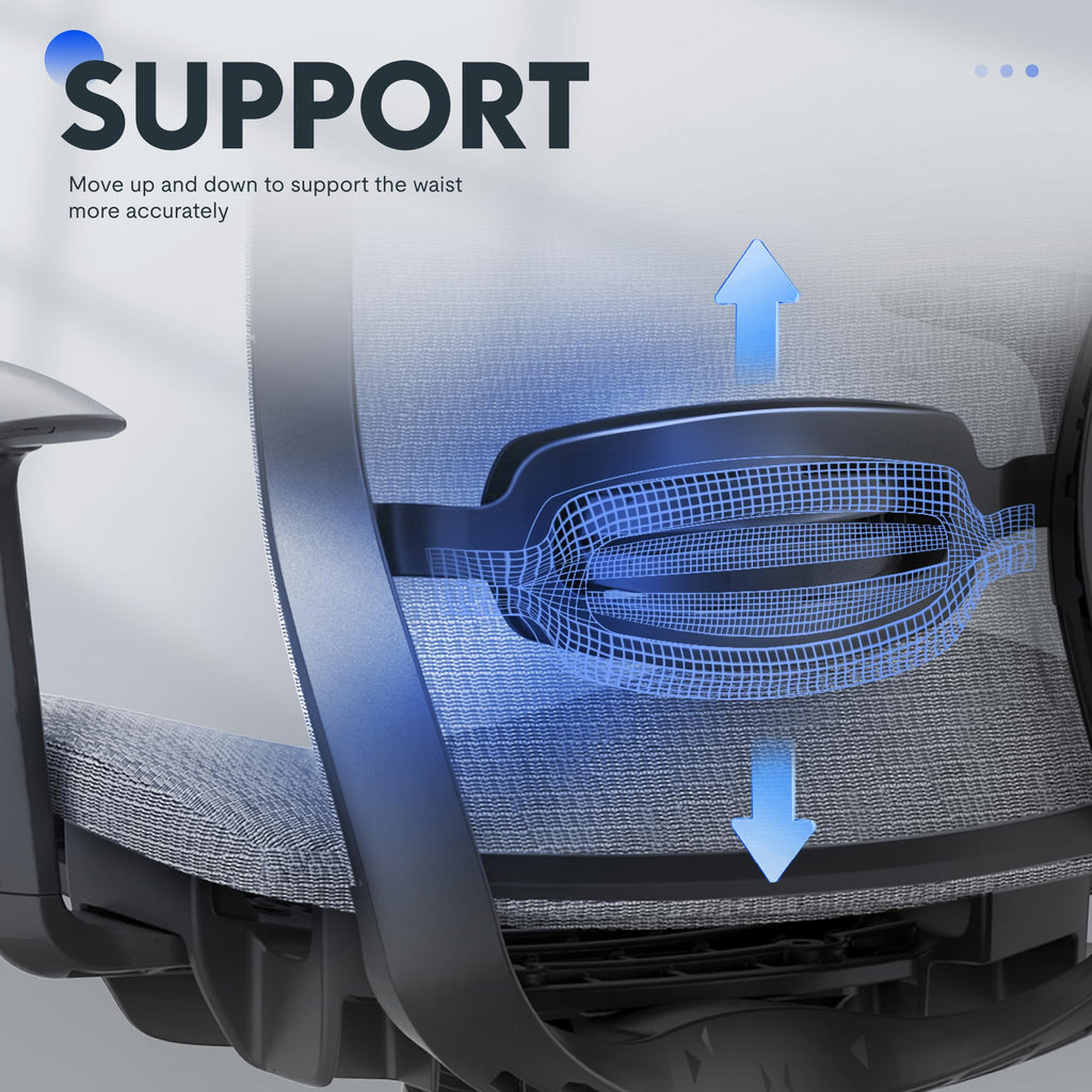 Flexispot Ergonomic Office Chair, High Back Mesh Swivel Computer Chair, Executive Office Desk Chairs, with Adjustable Lumbar Support/2d