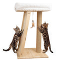 31.5" Cat Scratching Post, 3-in-1 Multifunctional Natural Pine Wood Cat Furniture, Tall Scratch Posts with Perch&Scratcher, Boxed with Hanging Bell Toy, Large