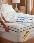 Mattress Toppers