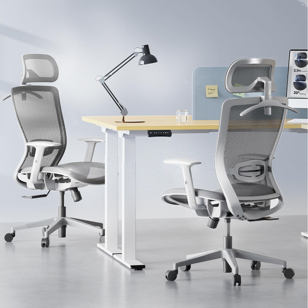 Flexispot Ergonomic Office Chair High Back Mesh Swivel Computer Chair Executive Office Desk Chairs with Adjustable Lumbar Support/2d