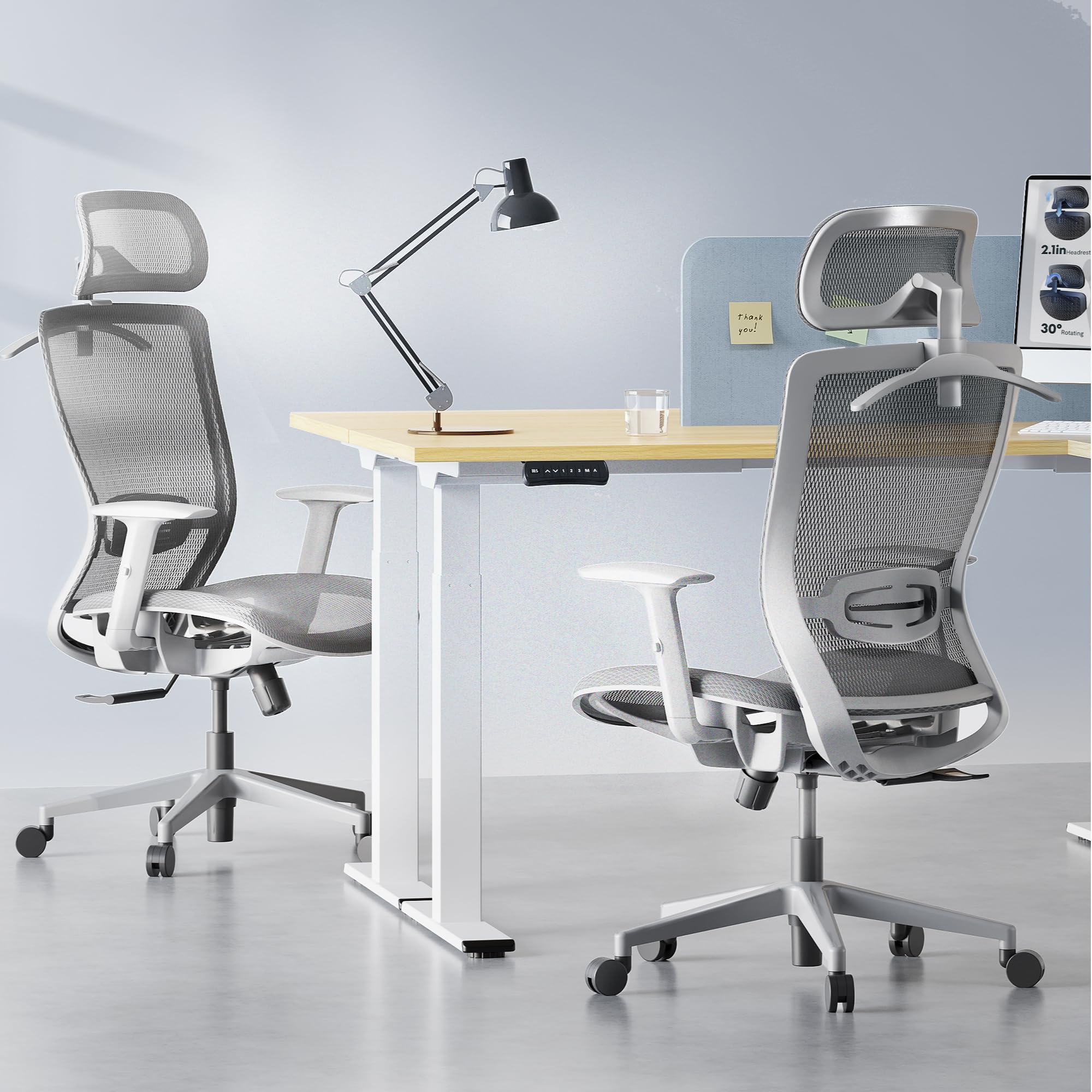 Flexispot Ergonomic Office Chair High Back Mesh Swivel Computer Chair Executive Office Desk Chairs with Adjustable Lumbar Support/2d