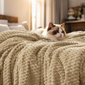 Blankets and Throw