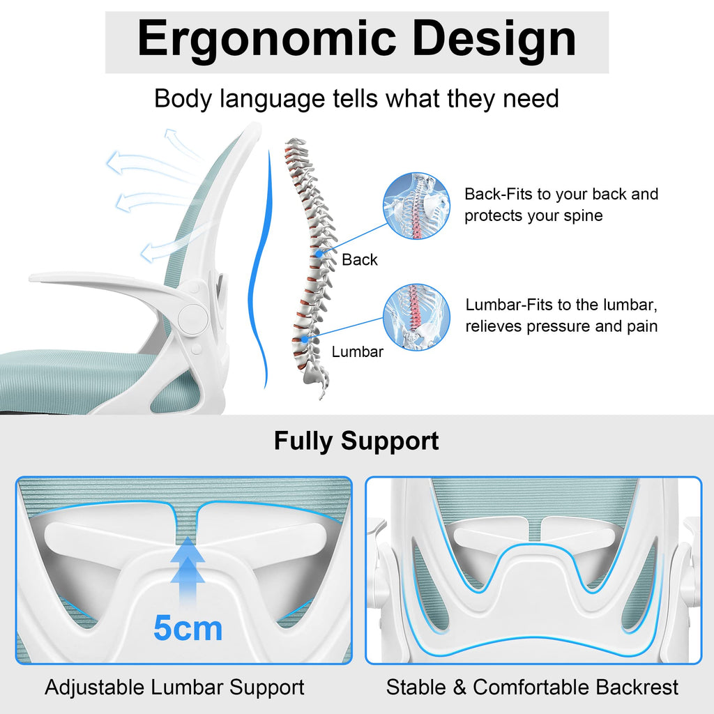 Primy Office Chair Ergonomic Desk Chair with Adjustable Lumbar Support and Height, Swivel Breathable Desk Mesh Computer Chair with Flip Up