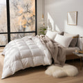Bedding Comforters